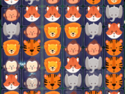 Animals Pairs Match 3